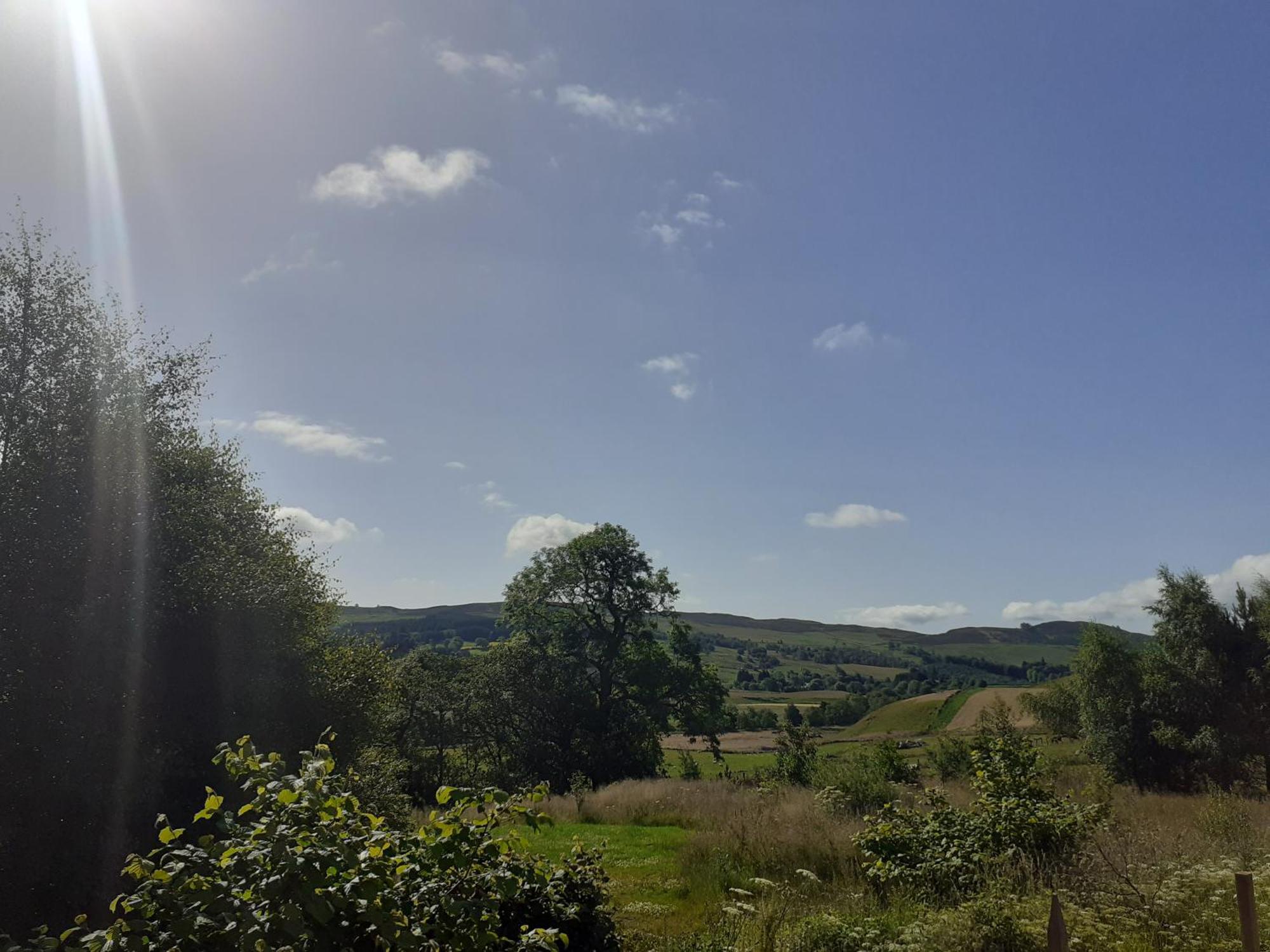 Dalnoid Cottages & Treehouses Nr Glenshee Εξωτερικό φωτογραφία
