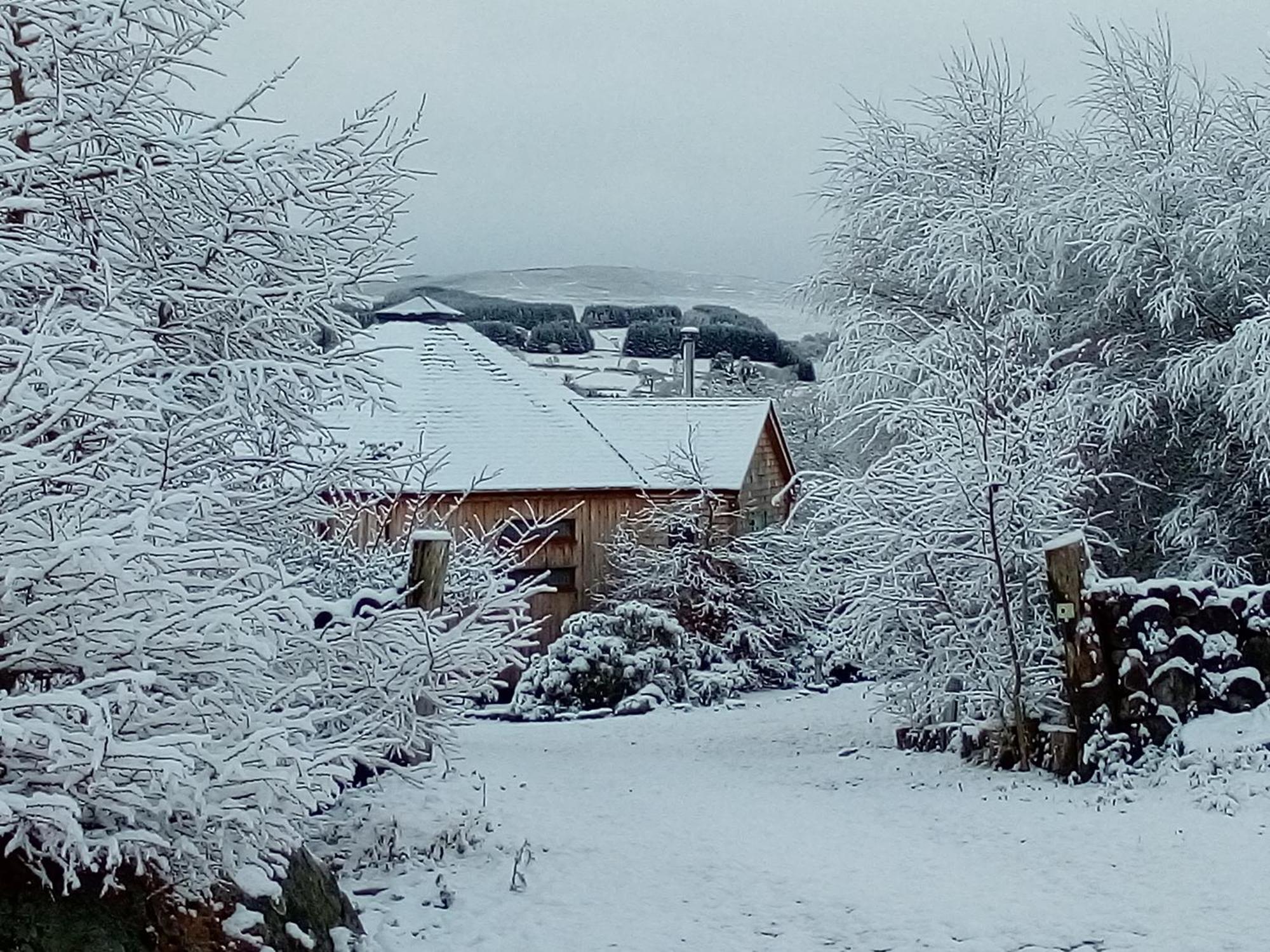 Dalnoid Cottages & Treehouses Nr Glenshee Εξωτερικό φωτογραφία